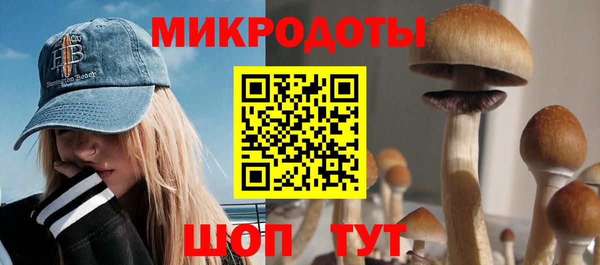 Галлюциногенные грибы мицелий Юрга